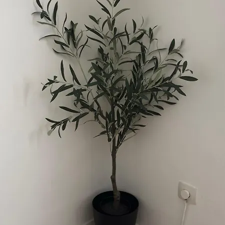 Apartman Studio Apartment Baščaršija